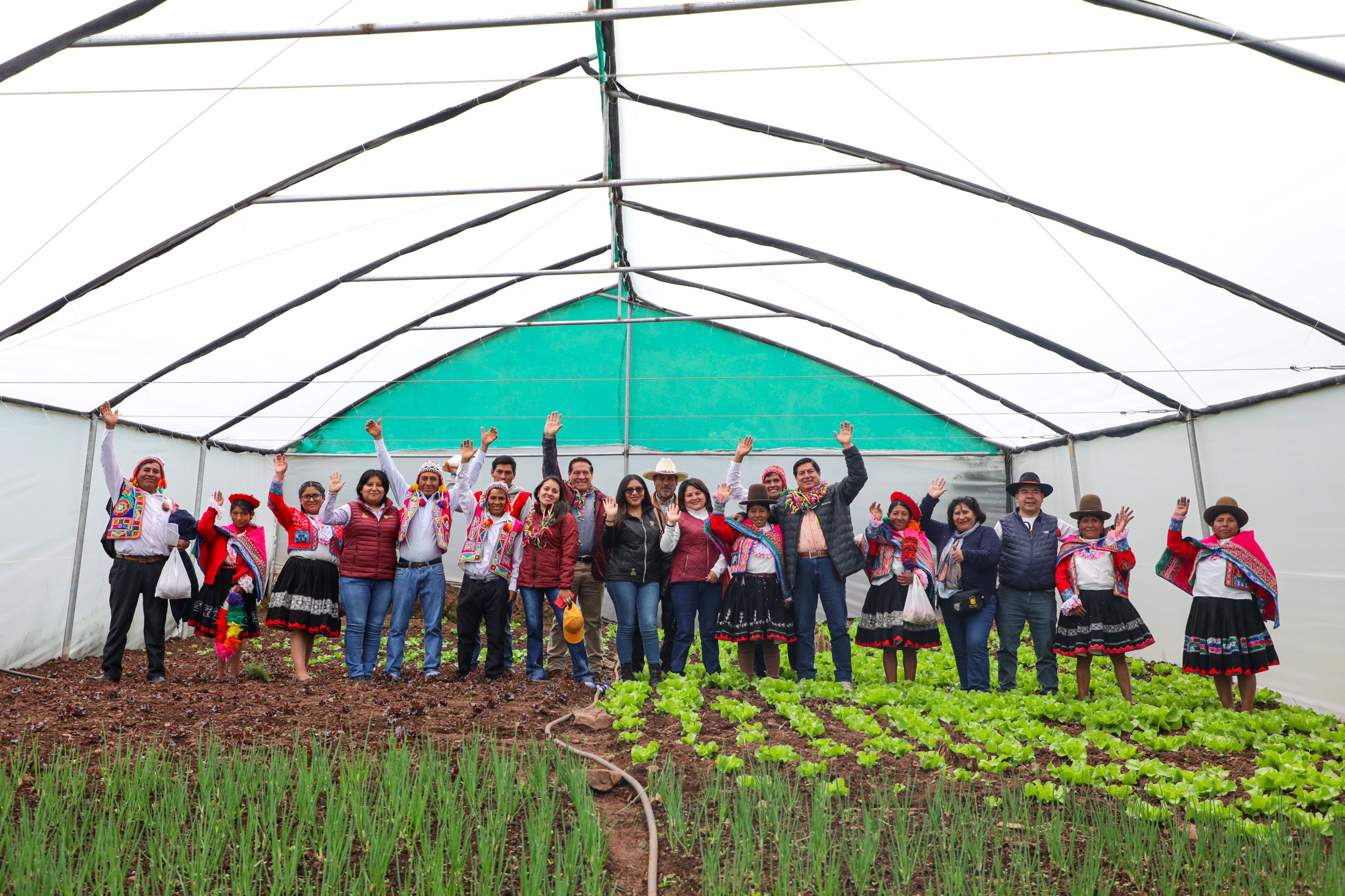 ALCALDE DEL CUSCO ENTREGÓ FITOTOLDOS Y MOTOCULTORES PARA DINAMIZAR LA ECONOMÍA DE LOS PRODUCTORES DE LA COMUNIDAD DE QUESER GRANDE