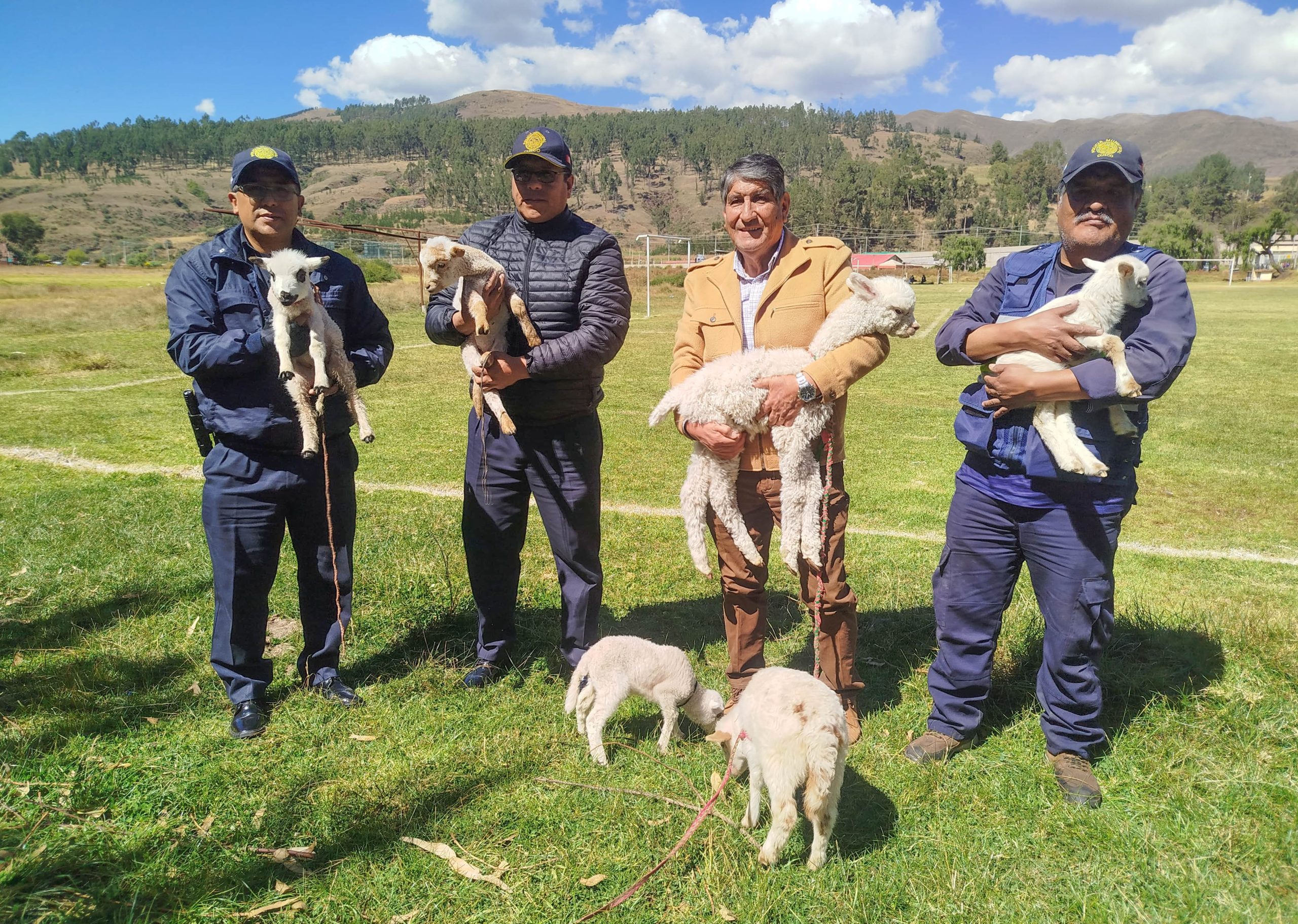 MUNICIPALIDAD DEL CUSCO LIDERA PROTECCIÓN Y RESGUARDO DE ANIMALES MALTRATADOS EN EL CENTRO HISTÓRICO