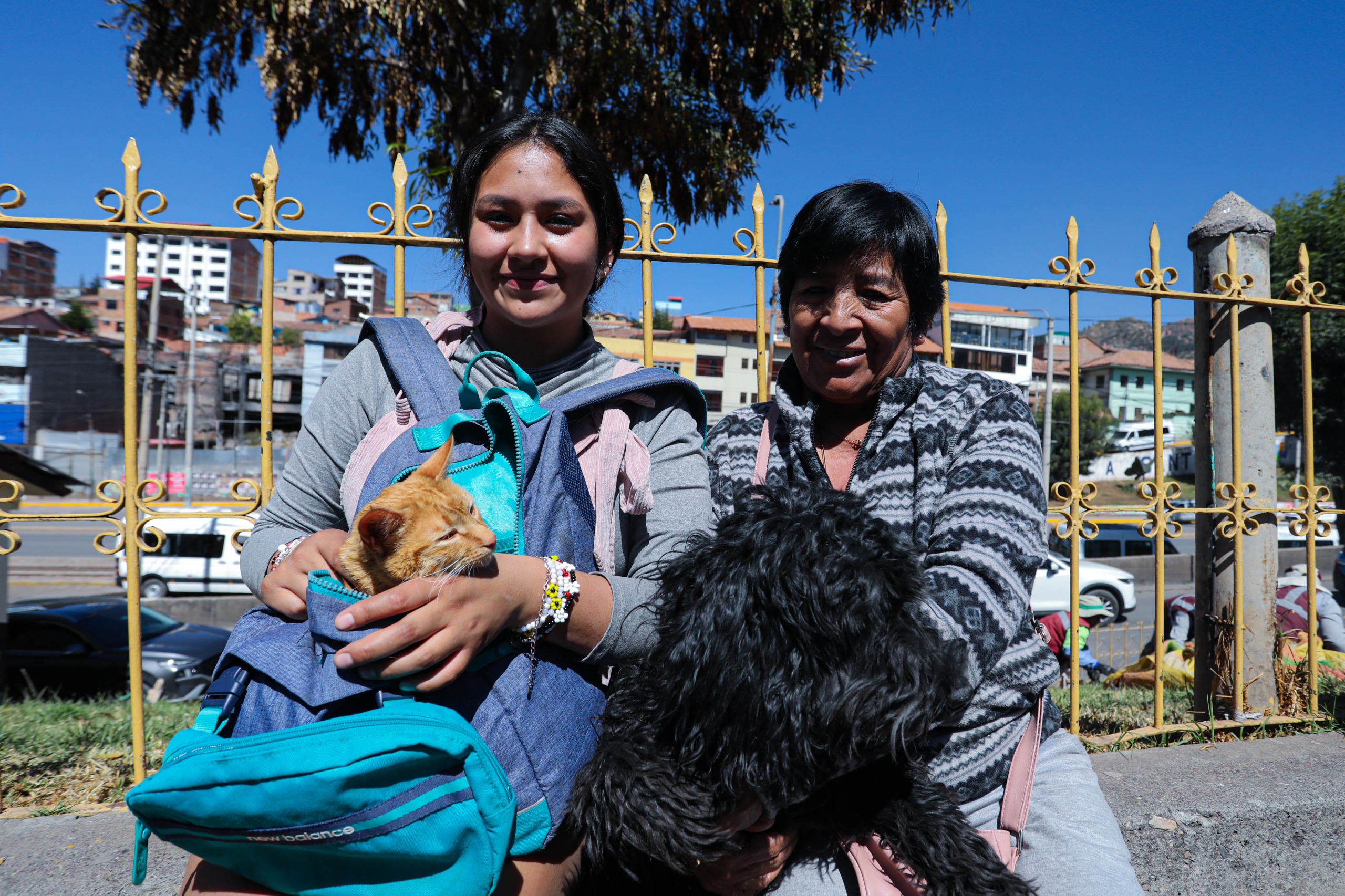 MUNICIPALIDAD DEL CUSCO CONTINÚA REALIZANDO CAMPAÑAS GRATUITAS DE DESPARASITACIÓN Y ESTERILIZACIÓN PARA MASCOTAS