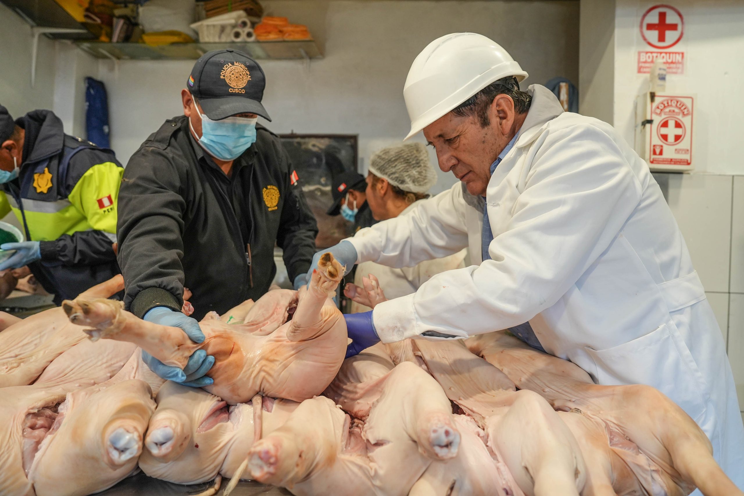 OPERATIVO CUENTA CERO: MUNICIPALIDAD DEL CUSCO INTENSIFICA ACCIONES DE CONTROL SANITARIO DE CARNE DE CERDO POR TODOS LOS SANTOS