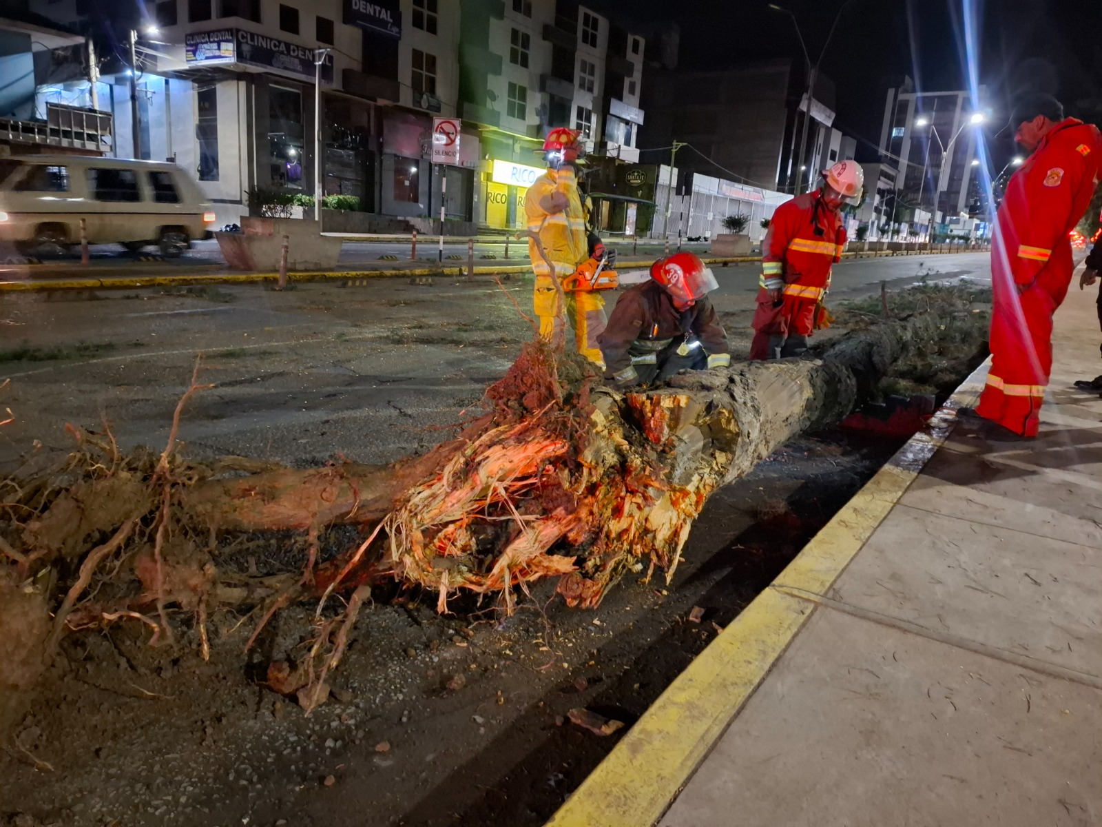 ACCIÓN INMEDIATA Y PREVENCIÓN: MUNICIPALIDAD DEL CUSCO PROTEGE LAS ÁREAS VERDES Y LA SEGURIDAD DE LA CIUDAD